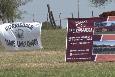 Visita a Cabaña Los Paraisos - Previa al Remate Especial de Ovino a realizarse el 9 de Noviembre en Sociedad Rural de Federal