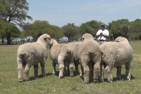 Visita a Cabaña Los Paraisos - Previa al Remate Especial de Ovino a realizarse el 9 de Noviembre en Sociedad Rural de Federal