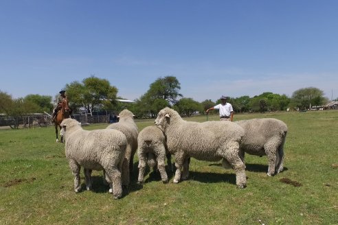 Visita a Cabaña Los Paraisos - Previa al Remate Especial de Ovino a realizarse el 9 de Noviembre en Sociedad Rural de Federal