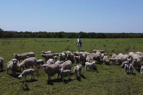 Visita a Cabaña Los Paraisos - Previa al Remate Especial de Ovino a realizarse el 9 de Noviembre en Sociedad Rural de Federal