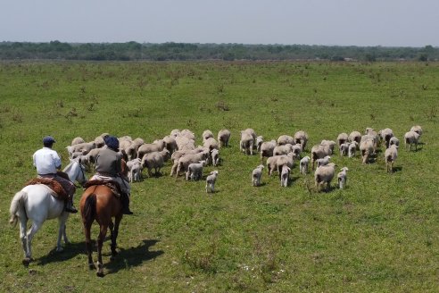 Visita a Cabaña Los Paraisos - Previa al Remate Especial de Ovino a realizarse el 9 de Noviembre en Sociedad Rural de Federal