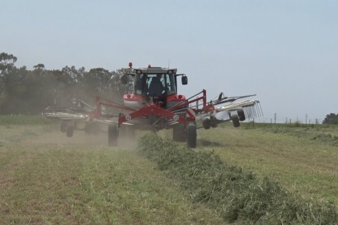 Experience Tour Massey Ferguson 2022 - Weinbaur S.A. - Crespo, Entre Ríos