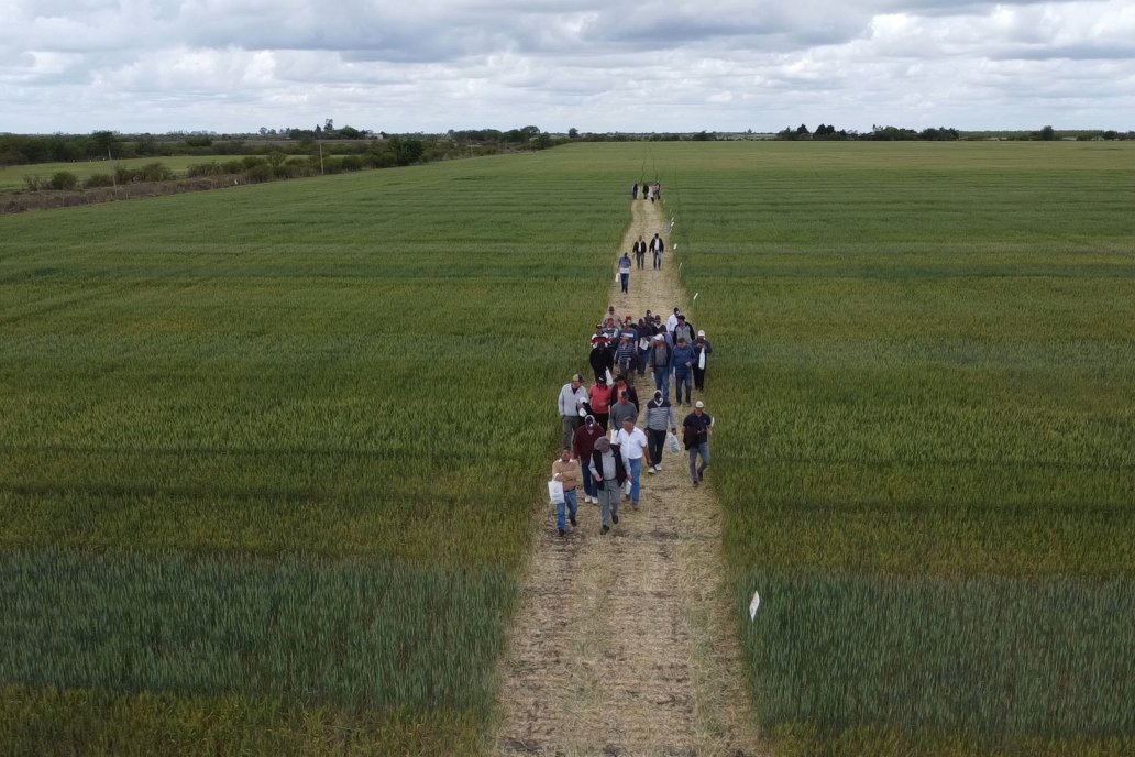 Productores de la zona se acercaron a lo de Nani a ver las novedades de ACA.