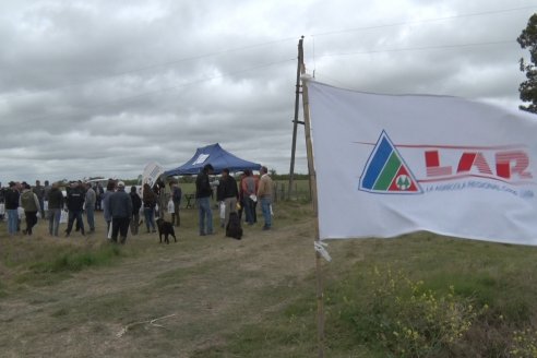 Jornada a Campo en Lote Demostrativos de Trigos ACA  /  LAR  - Tabossi - Entre Ríos