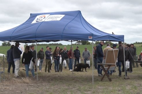 Jornada a Campo en Lote Demostrativos de Trigos ACA  /  LAR  - Tabossi - Entre Ríos