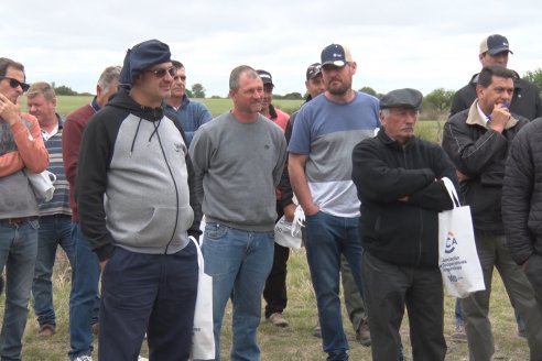 Jornada a Campo en Lote Demostrativos de Trigos ACA  /  LAR  - Tabossi - Entre Ríos