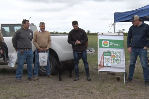 Jornada a Campo en Lote Demostrativos de Trigos ACA  /  LAR  - Tabossi - Entre Ríos