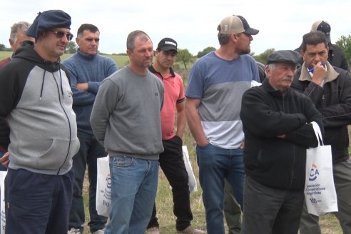 Jornada a Campo en Lote Demostrativos de Trigos ACA  /  LAR  - Tabossi - Entre Ríos