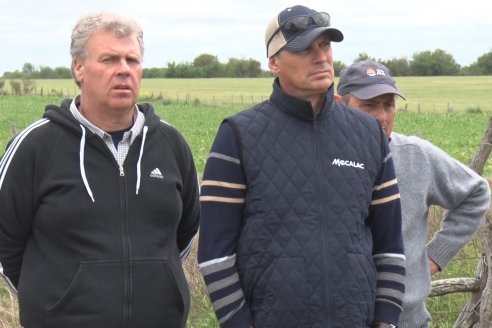 Jornada a Campo en Lote Demostrativos de Trigos ACA  /  LAR  - Tabossi - Entre Ríos