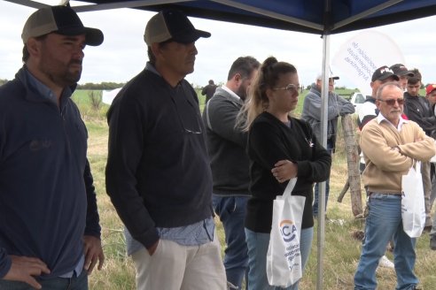 Jornada a Campo en Lote Demostrativos de Trigos ACA  /  LAR  - Tabossi - Entre Ríos