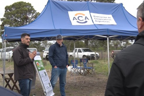 Jornada a Campo en Lote Demostrativos de Trigos ACA  /  LAR  - Tabossi - Entre Ríos