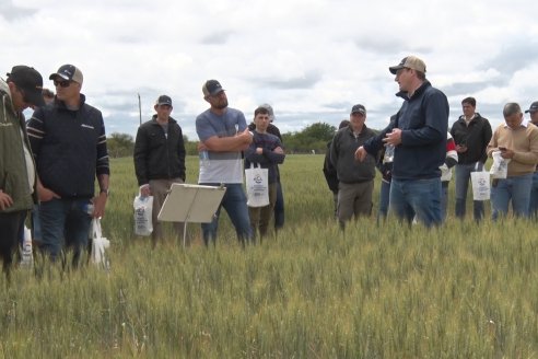 Jornada a Campo en Lote Demostrativos de Trigos ACA  /  LAR  - Tabossi - Entre Ríos