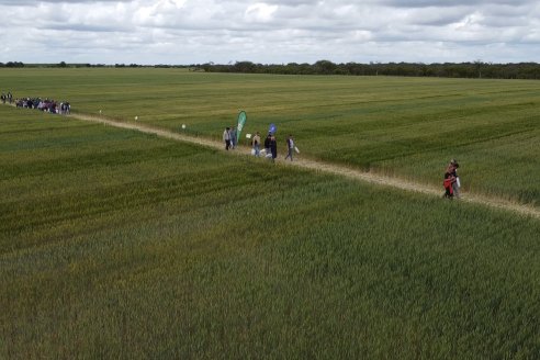 Jornada a Campo en Lote Demostrativos de Trigos ACA  /  LAR  - Tabossi - Entre Ríos