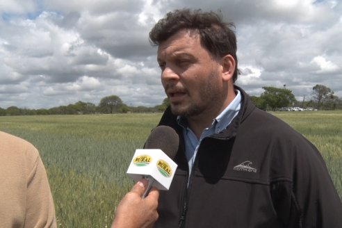 Jornada a Campo en Lote Demostrativos de Trigos ACA  /  LAR  - Tabossi - Entre Ríos