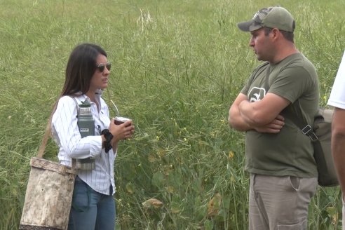 Jornada a Campo sobre un lote de Carinata - Nuseed y Agrofé Campo SRL - Antelo, Dpto Victoria