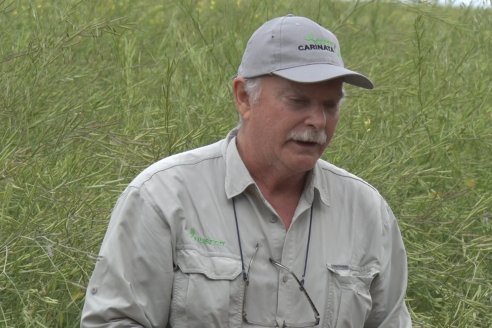 Jornada a Campo sobre un lote de Carinata - Nuseed y Agrofé Campo SRL - Antelo, Dpto Victoria