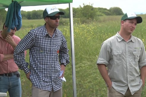 Jornada a Campo sobre un lote de Carinata - Nuseed y Agrofé Campo SRL - Antelo, Dpto Victoria