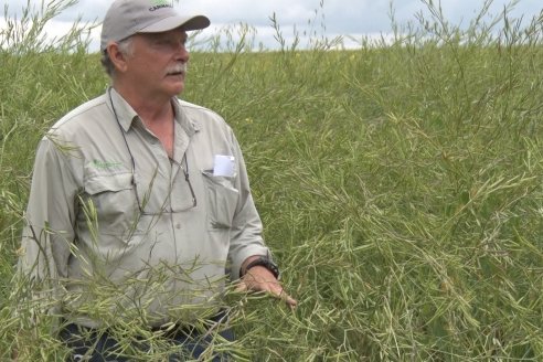 Jornada a Campo sobre un lote de Carinata - Nuseed y Agrofé Campo SRL - Antelo, Dpto Victoria