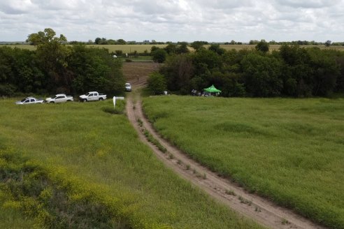 Jornada a Campo sobre un lote de Carinata - Nuseed y Agrofé Campo SRL - Antelo, Dpto Victoria