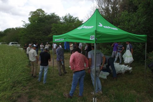 Jornada a Campo sobre un lote de Carinata - Nuseed y Agrofé Campo SRL - Antelo, Dpto Victoria