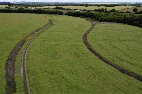 Jornada a Campo sobre un lote de Carinata - Nuseed y Agrofé Campo SRL - Antelo, Dpto Victoria