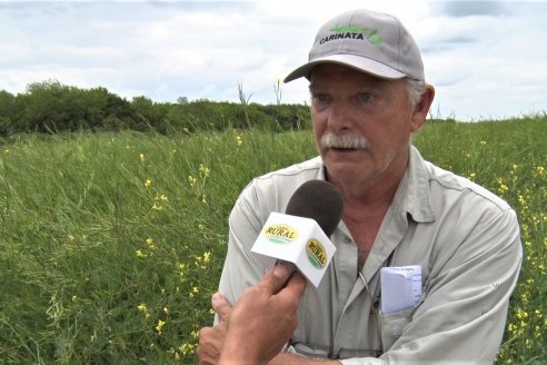 Jornada a Campo sobre un lote de Carinata - Nuseed y Agrofé Campo SRL - Antelo, Dpto Victoria