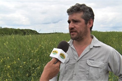 Jornada a Campo sobre un lote de Carinata - Nuseed y Agrofé Campo SRL - Antelo, Dpto Victoria