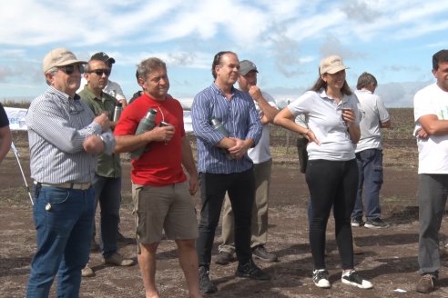 Recorrida por el Centro de Entrenamiento Técnico (CET) - Ensayos de Trigos comerciales y experimentales en Victoria - Entre Ríos