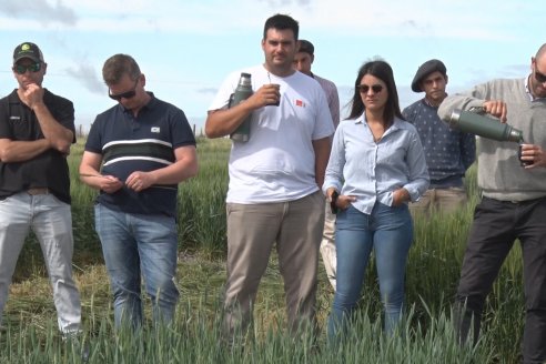 Recorrida por el Centro de Entrenamiento Técnico (CET) - Ensayos de Trigos comerciales y experimentales en Victoria - Entre Ríos