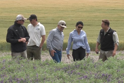 Recorrida por el Centro de Entrenamiento Técnico (CET) - Ensayos de Trigos comerciales y experimentales en Victoria - Entre Ríos