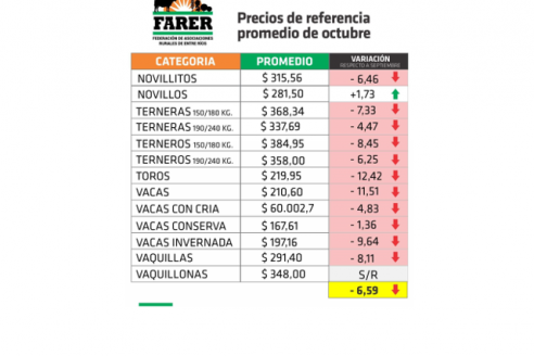 Durante octubre solo mejoró la cotización del novillo entrerriano