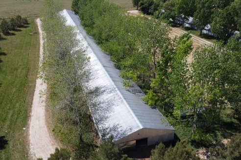 Refuerzan controles sanitarios en toda la frontera con Bolivia