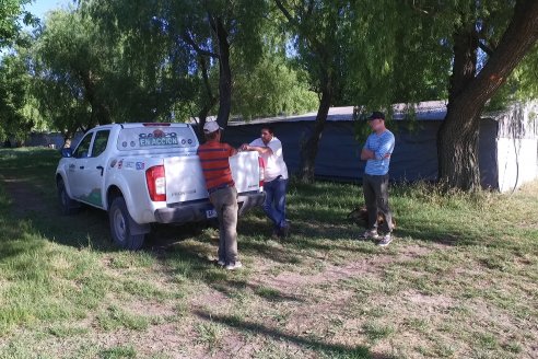 Visita a Granja Avícola Don Juan - Orlando y Matias Hollmann - Seguí, Entre Ríos