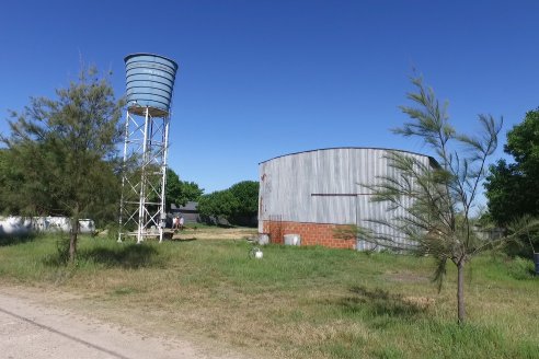 Visita a Granja Avícola Don Juan - Orlando y Matias Hollmann - Seguí, Entre Ríos