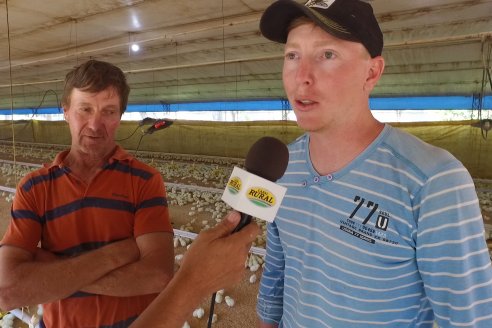 Visita a Granja Avícola Don Juan - Orlando y Matias Hollmann - Seguí, Entre Ríos