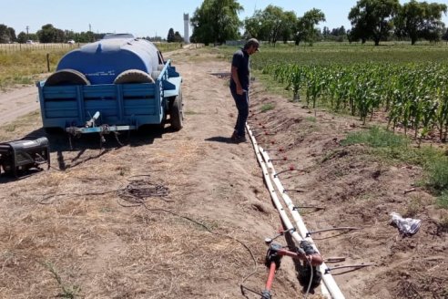 Ensayo de fertirriego con efluentes para reducir el impacto ambiental