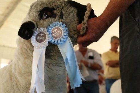 La Expo Ovina mostró mucho de lo que tiene la ganadería entrerriana