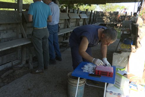 Visita a Estancia La Yunta - Distrito Doll, Dpto Diamante - El bienestar animal toma impulso desde la sanidad