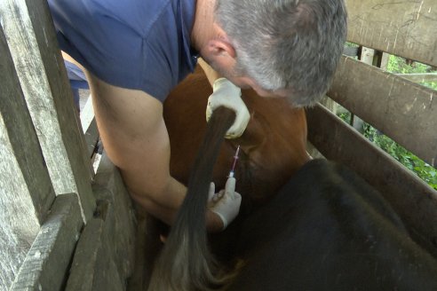 Visita a Estancia La Yunta - Distrito Doll, Dpto Diamante - El bienestar animal toma impulso desde la sanidad