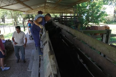 Visita a Estancia La Yunta - Distrito Doll, Dpto Diamante - El bienestar animal toma impulso desde la sanidad