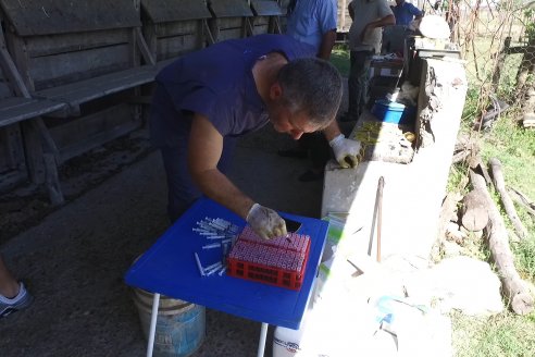 Visita a Estancia La Yunta - Distrito Doll, Dpto Diamante - El bienestar animal toma impulso desde la sanidad