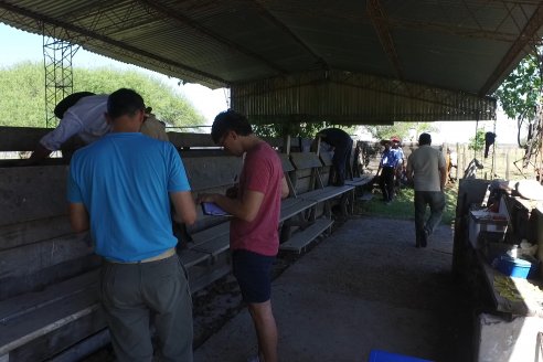 Visita a Estancia La Yunta - Distrito Doll, Dpto Diamante - El bienestar animal toma impulso desde la sanidad