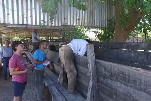 Visita a Estancia La Yunta - Distrito Doll, Dpto Diamante - El bienestar animal toma impulso desde la sanidad