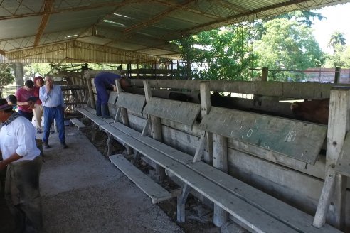 Visita a Estancia La Yunta - Distrito Doll, Dpto Diamante - El bienestar animal toma impulso desde la sanidad