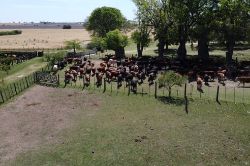 Visita a Estancia La Yunta - Distrito Doll, Dpto Diamante - El bienestar animal toma impulso desde la sanidad