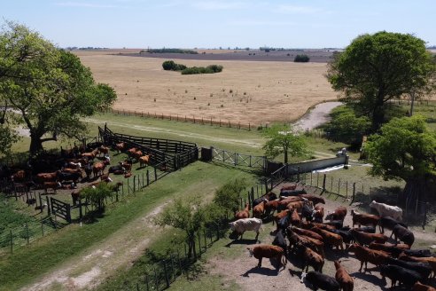 Visita a Estancia La Yunta - Distrito Doll, Dpto Diamante - El bienestar animal toma impulso desde la sanidad