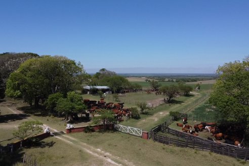 Visita a Estancia La Yunta - Distrito Doll, Dpto Diamante - El bienestar animal toma impulso desde la sanidad