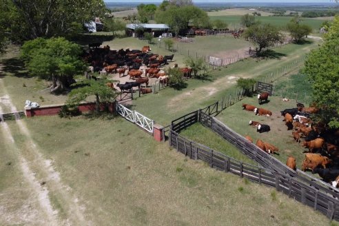 Visita a Estancia La Yunta - Distrito Doll, Dpto Diamante - El bienestar animal toma impulso desde la sanidad