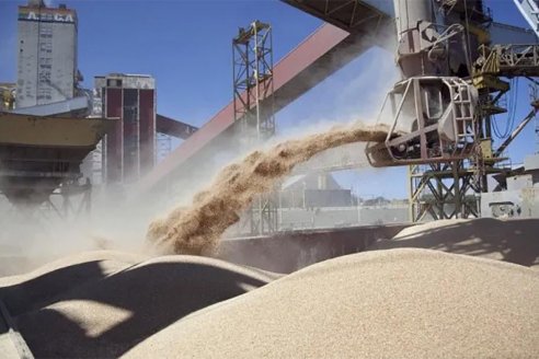 Prevén más venta de granos pero a cambio de menos plata