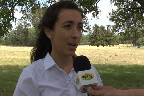 Manuel Jorge Hadad y Mariela Seehaus - EEA INTA Paraná - Primer equipo monitoreo de particulas y vapores de pesticidas en el aire